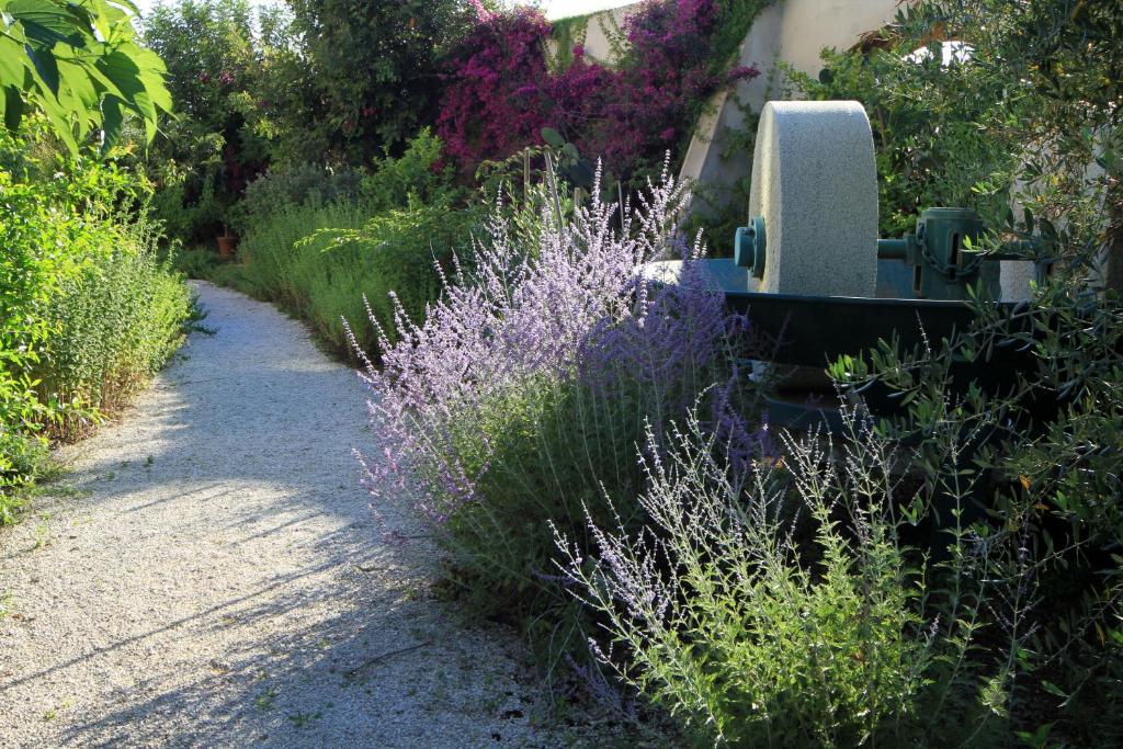 Campastrello Sport Hotel Residence Castagneto Carducci Buitenkant foto